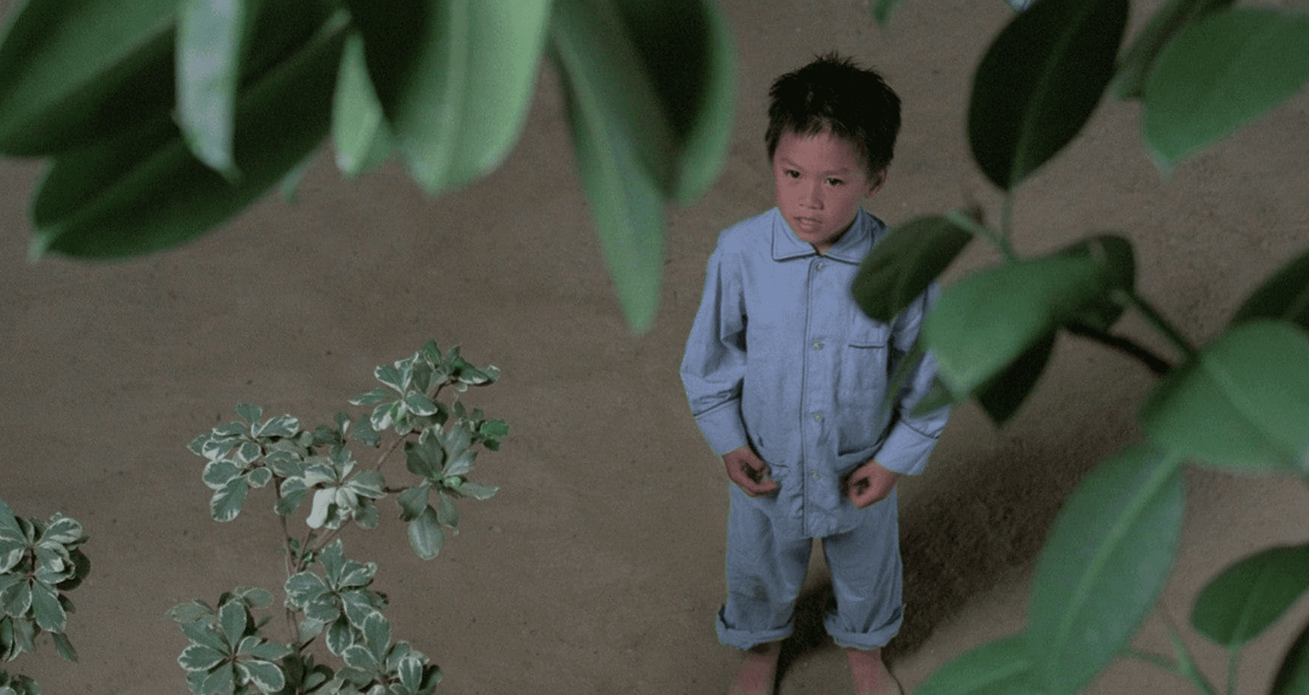 scent of green papaya 