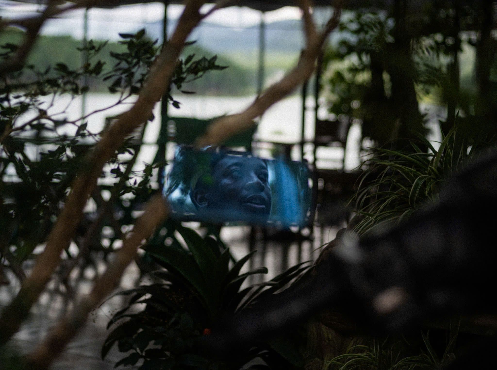 man in the mirror jungle saigon