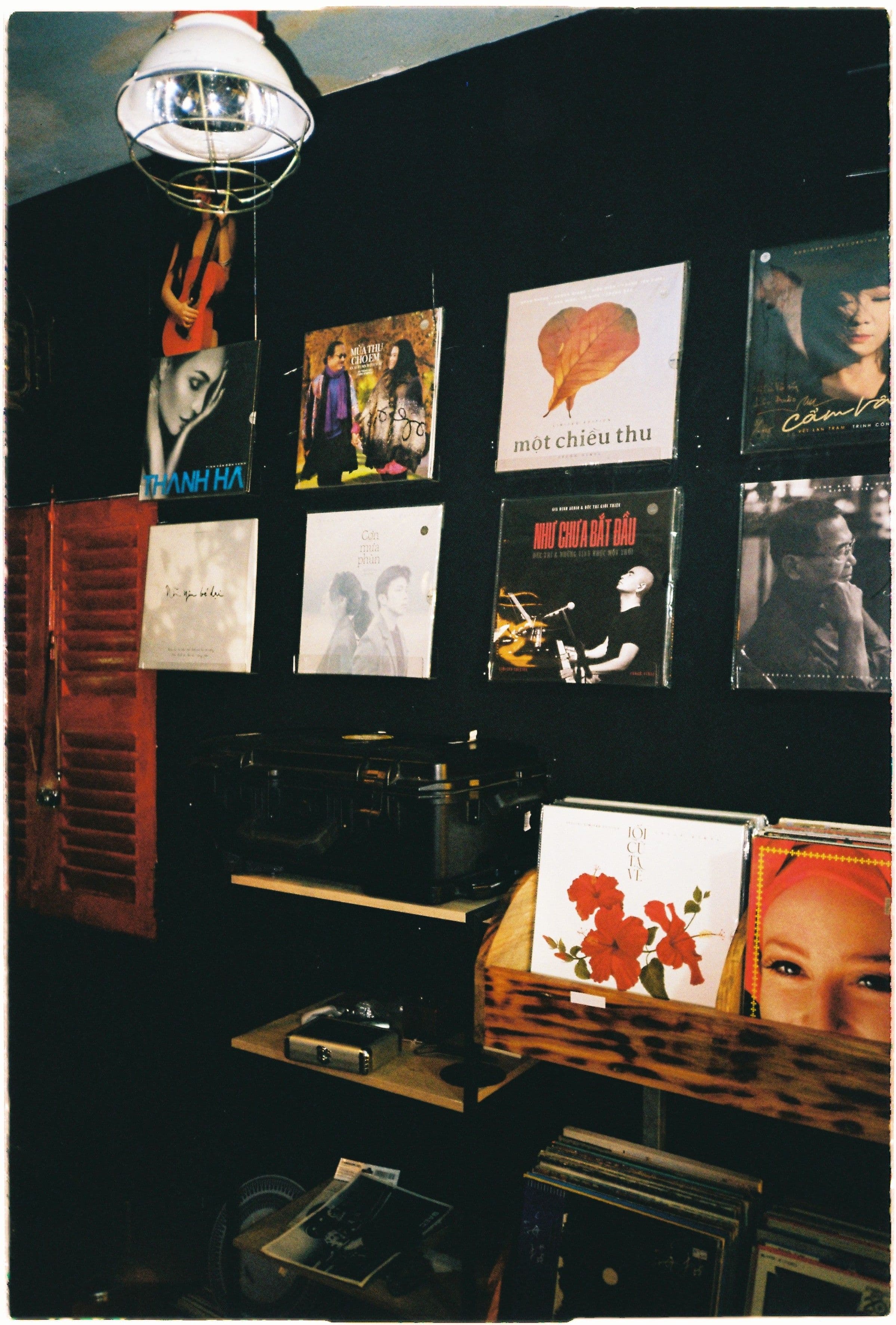 vinyl records on the wall 