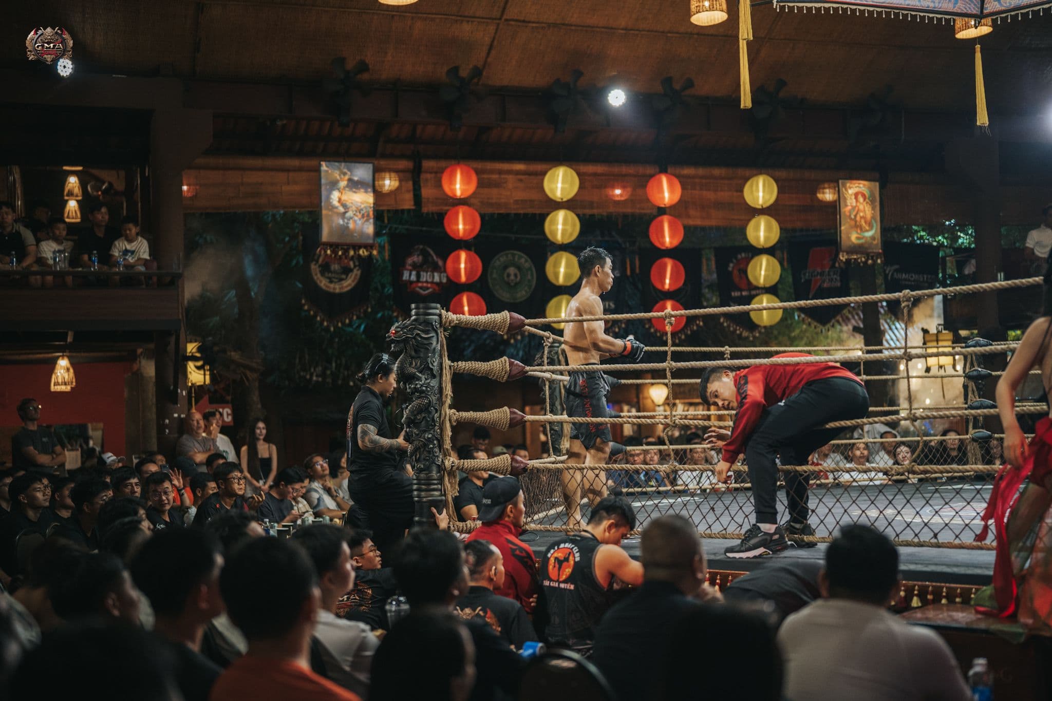 mma fight vietnam gods of martial arts