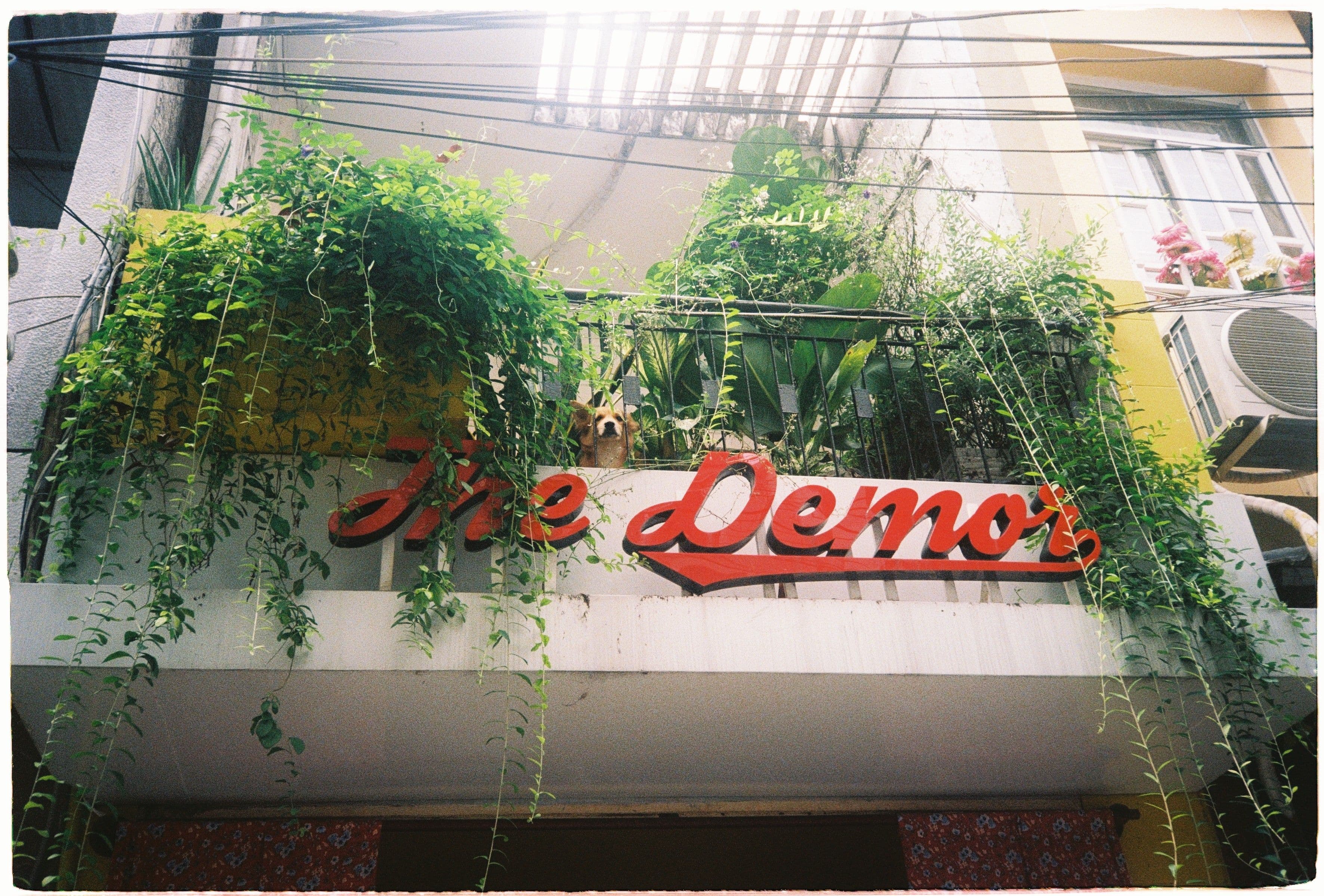 The Demor vintage clothes saigon indie culture hippie