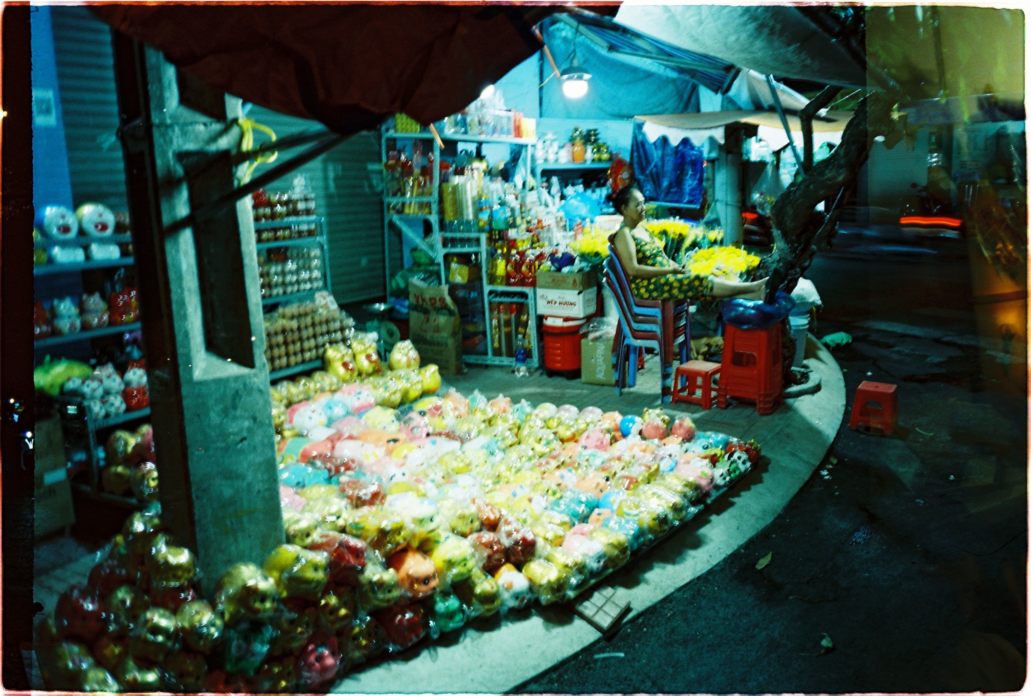 old lady with some pigs