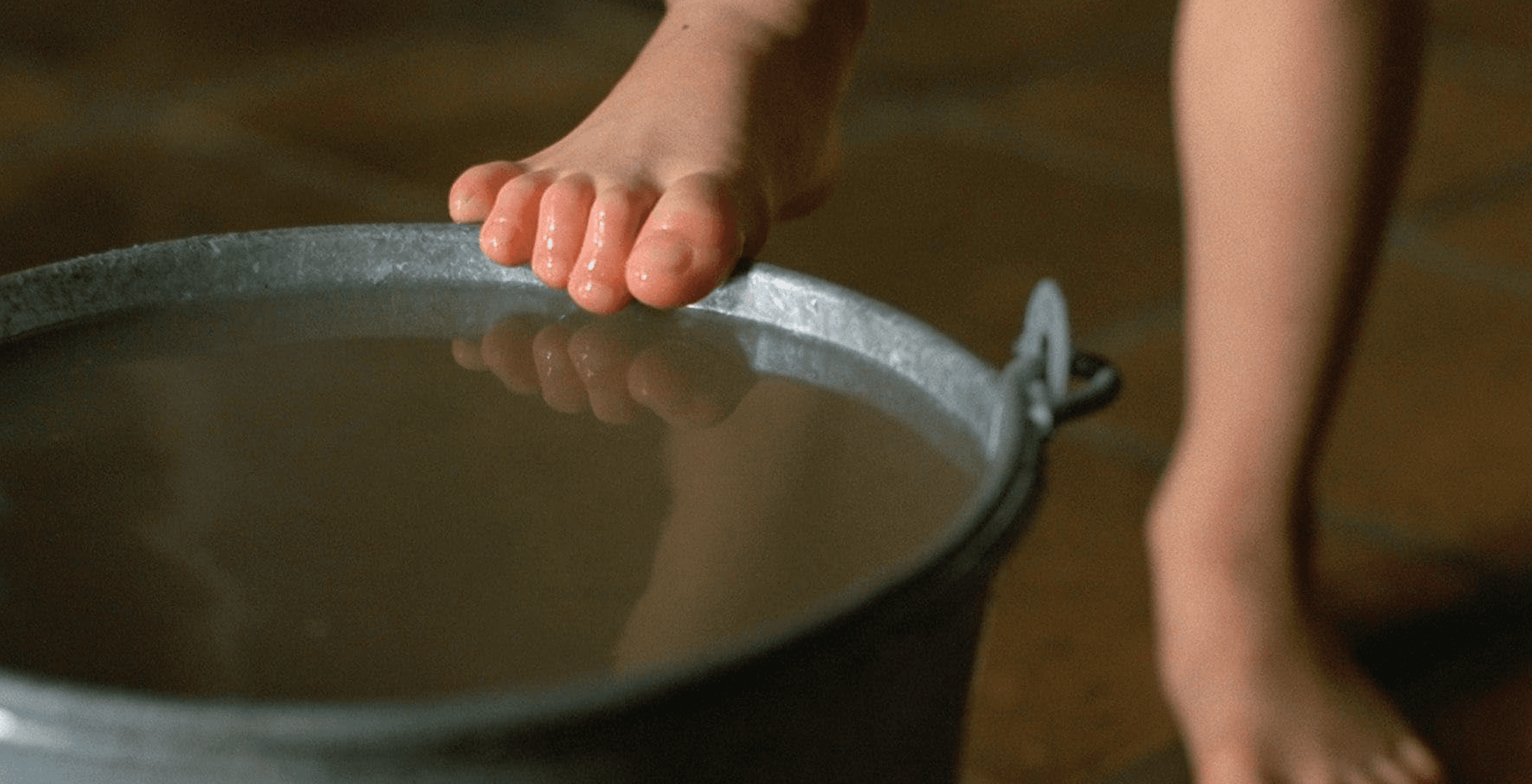 scent of green papaya 