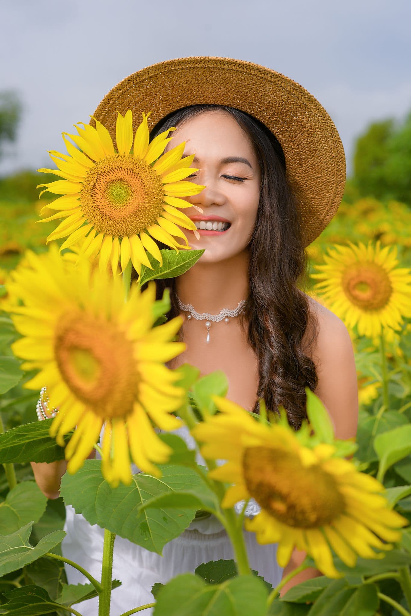 sunflower lady