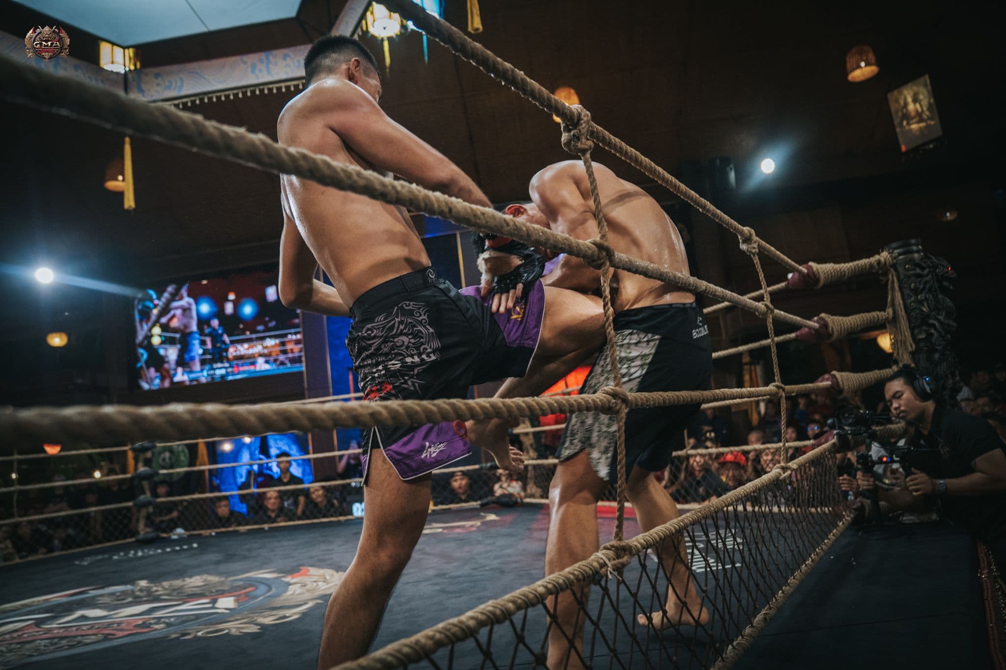 knee to the body mma fight vietnam